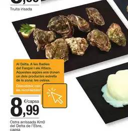 BonpreuEsclat Ostra arrissada Km0 del Delta de l'Ebre, capsa oferta