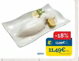 Cash Ecofamilia Sepia oferta
