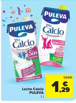 Carrefour Market PULEVA Leche Calcio oferta