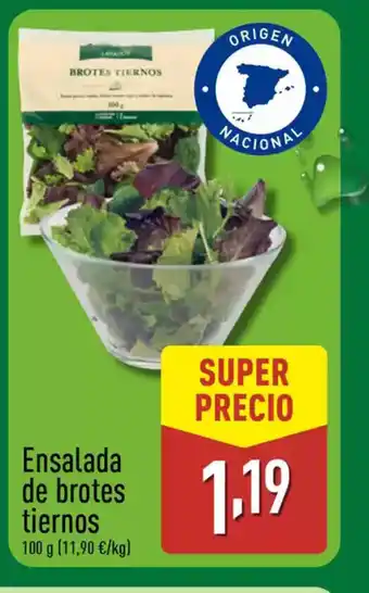 ALDI Ensalada de brotes tiernos oferta