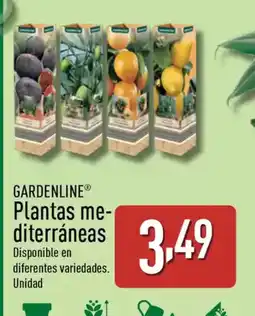 ALDI GARDENLINE Plantas me- diterráneas oferta