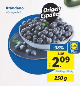 Lidl Arándano oferta