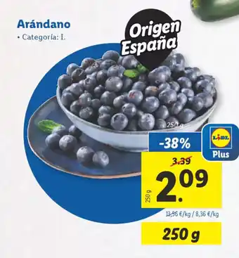 Lidl Arándano oferta