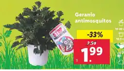 Lidl Geranio antimosquitos oferta