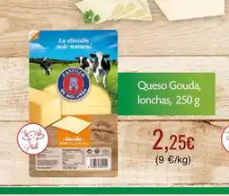 SPAR Gran Canaria Queso Gouda, lonchas oferta