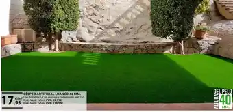 CMB Bricolage Cespeed artificial luanco oferta