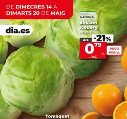 Maxi Dia Enciam Iceberg oferta