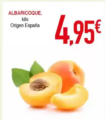 Masymas Albaricoque oferta