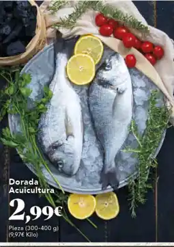 Gadis Dorada Acuicultura oferta