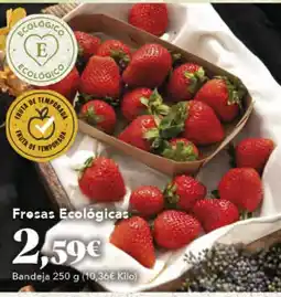 Gadis Fresas Ecológicas oferta