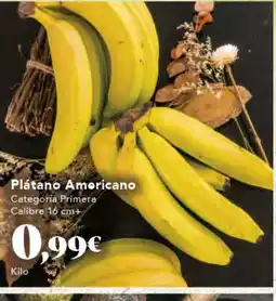 Gadis Plátano Americano oferta