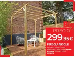 BigMat Pérgola ancolie oferta