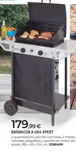 BigMat Barbacoa a gas xpert oferta
