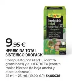 BigMat Herbicida total sistémico duopack oferta