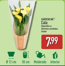 ALDI GARDENLINE Cala oferta