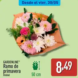 ALDI GARDENLINE Ramo de primavera oferta
