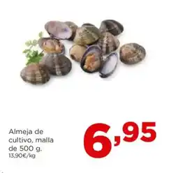 Alimerka Almeja de cultivo oferta