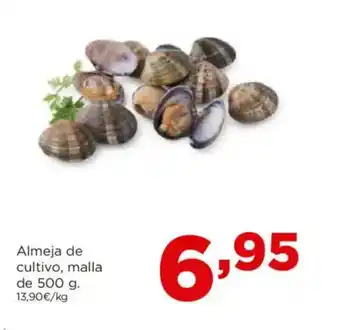 Alimerka Almeja de cultivo oferta