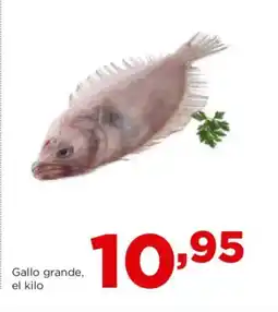Alimerka Gallo grande oferta