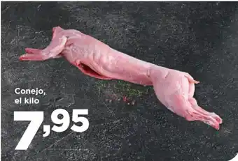 Alimerka Conejo oferta