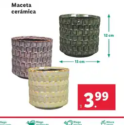 Lidl Maceta cerámica oferta