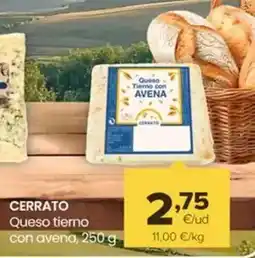 Autoservicios Familia Cerrato - queso tierno con avena oferta