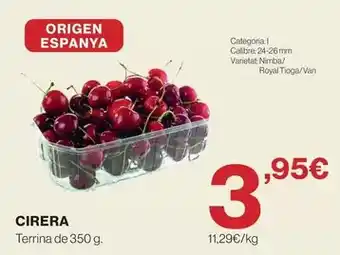 Abordo Paletilla de cordero precortada oferta