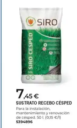 BigMat Sustrato recebo césped oferta