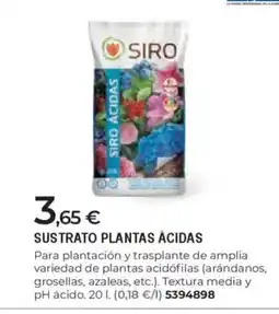 BigMat Sustrato plantas ácidas oferta