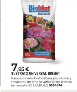 BigMat BIGMAT Sustrato universal oferta