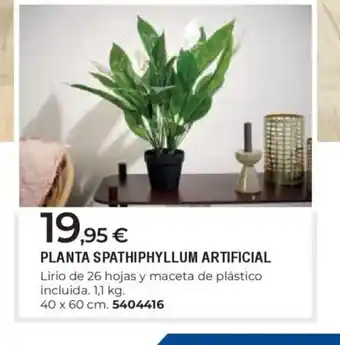 BigMat Planta spathiphyllum artificial oferta