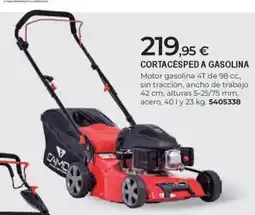 BigMat Cortacésped a gasolina oferta