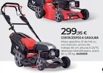 BigMat Cortacésped a gasolina oferta