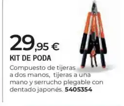 BigMat Kit de poda oferta