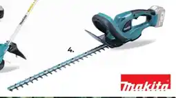 BigMat Cortasetos 18 v oferta