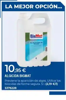 BigMat BIGMAT Algicida oferta