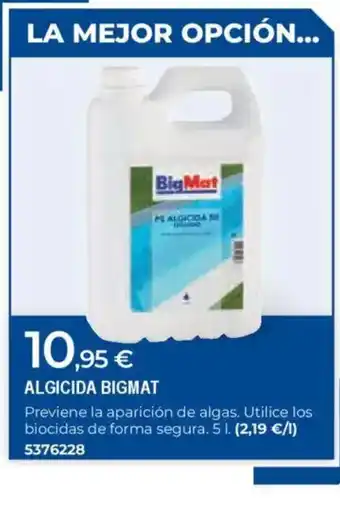 BigMat BIGMAT Algicida oferta
