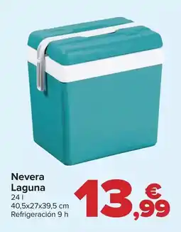 Carrefour Nevera laguna oferta