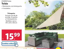 Lidl LIVARNO HOME Toldo oferta