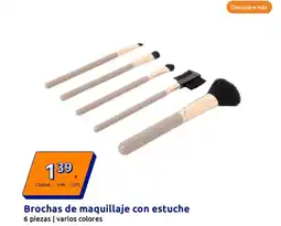 Action Brochas de maquillaje con estuche oferta