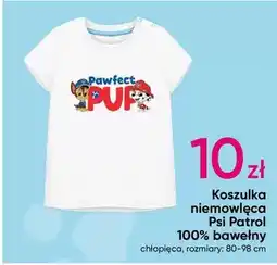 Pepco Koszulka niemowleca 100% bawelny oferta