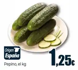 Unide Supermercados Pepino oferta