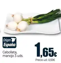 Unide Supermercados Cebolleta, manojo oferta