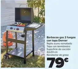 Carrefour Denver - barbacoa gas 2 fuegos con tapa oferta