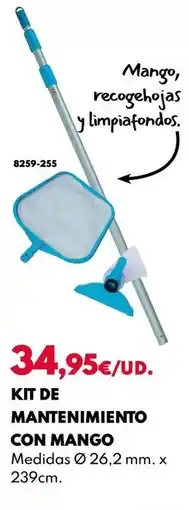 BricoCentro Kit de mantenimiento con mango oferta