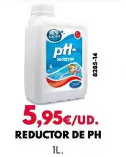 BricoCentro Reducctor de ph oferta