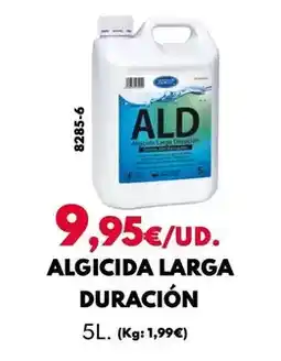 BricoCentro Algicida larga duracion oferta