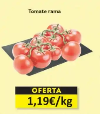 Economy Cash Tomate rama oferta