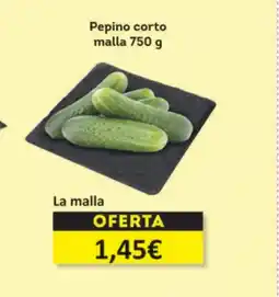 Economy Cash Pepino corto malla oferta