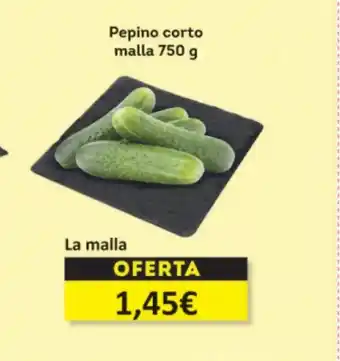 Economy Cash Pepino corto malla oferta